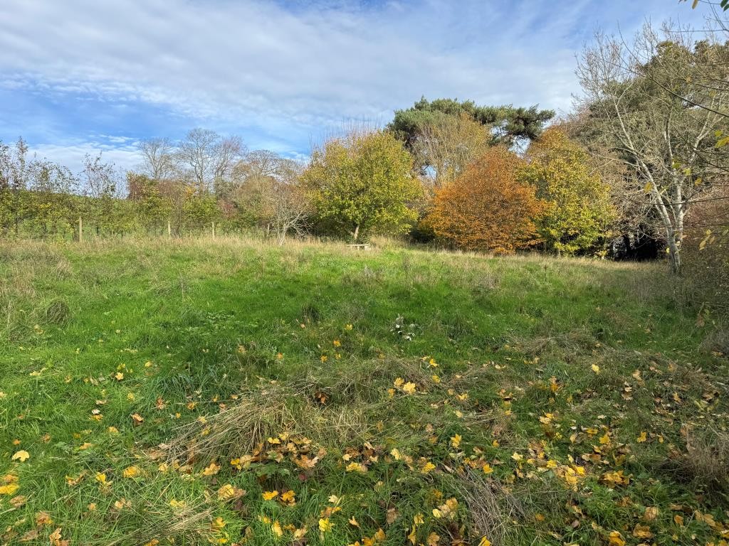 Lot: 98 - HALF AN ACRE AND BARN WITH POTENTIAL IN ATTRACTIVE SEMI-RURAL LOCATION - Part of the Grounds